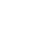 A1 Water Damage NYC logo white