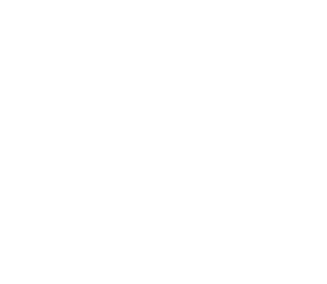 A1 Water Damage NYC logo white